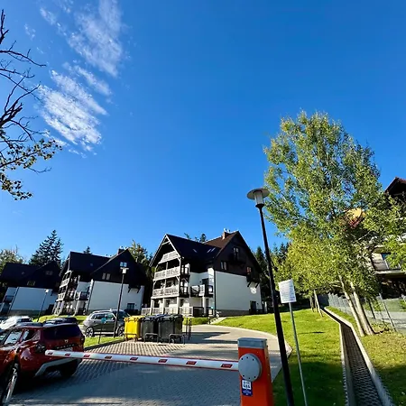 Apartament W Naturze - Dla Aktywnych Z Widokiem Na Las, Szlaki, Rowery, Biegówki, Blisko Jakuszyc I Czech