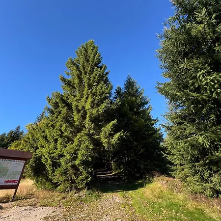 W Naturze - Dla Aktywnych Z Widokiem Na Las, Szlaki, Rowery, Biegowki, Blisko Jakuszyc I Czech * Szklarska Poręba