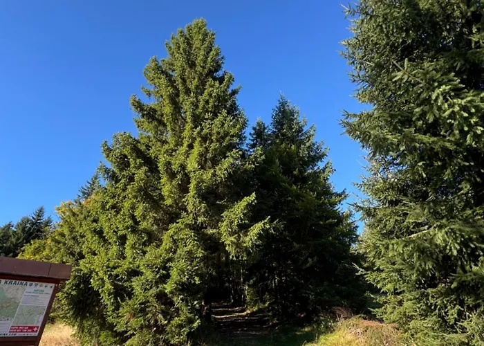 W Naturze - Dla Aktywnych Z Widokiem Na Las, Szlaki, Rowery, Biegowki, Blisko Jakuszyc I Czech * Szklarska Poręba